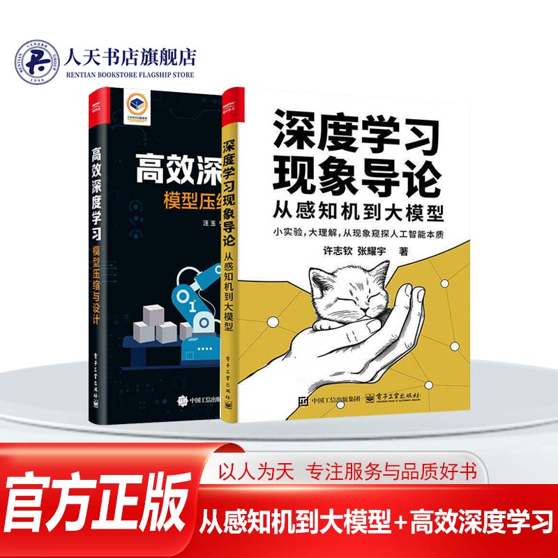 从感知机到大模型+高效深度学习图片