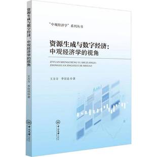 正版书籍 资源生成与数字经济:中观经济学的视角王方方中山大学出版社图书 经济学研究者高校师生人天书店畅销书排行榜