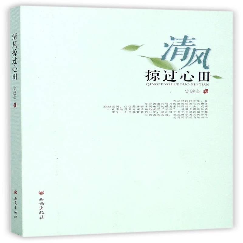 正版书籍 清风掠过心田史建奎西安出版社文学散文集中国当代 人天书店畅销书排行榜