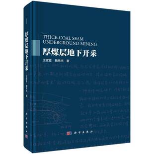 正版书籍 厚煤层地下开采王家臣科学出版社工业技术  人天书店畅销书排行榜
