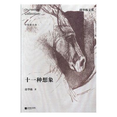 十一种想象 邱华栋 短篇小说小说集中国当代 小说书籍