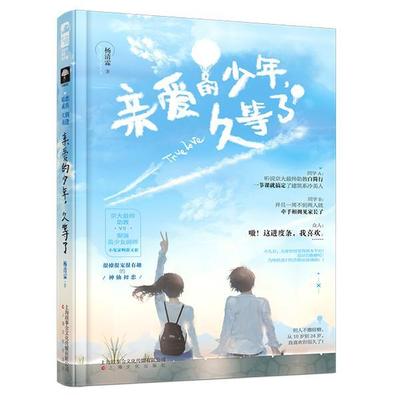 正版书籍 亲爱的少年，久等了杨清霖上海文化出版社小说  人天书店畅销书排行榜