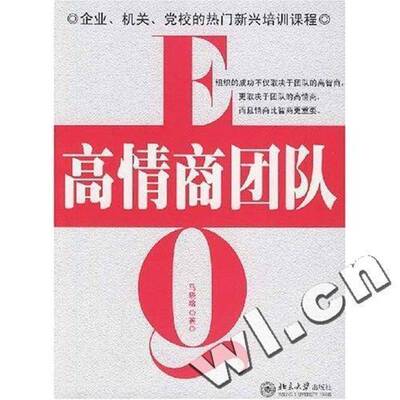 正版书籍 高情商团队马晓晗北京大学出版社管理组织管理学 人天书店畅销书排行榜