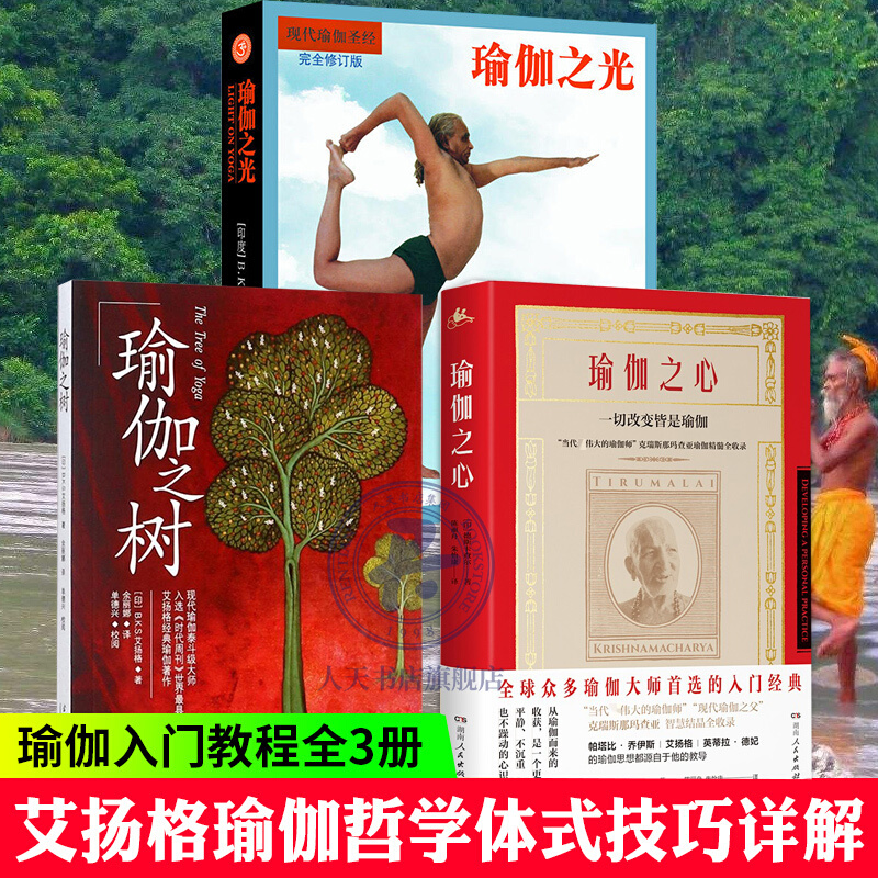 瑜伽之树+瑜伽之光+瑜伽之心 全3册 艾扬格瑜伽书 瑜伽教程初级入门 瑜伽教练培训教材瑜伽书籍零基础学瑜伽初学者体式大全参考书