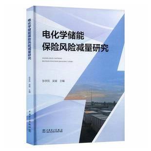 正版书籍 电化学储能保险风险减量研究张学民中国电力出版社图书 从事电化学储能项目的工程技术人人天书店畅销书排行榜
