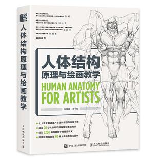 人体结构原理与绘画教学 肖玮春绘 人体结构漫画绘画技法 艺术书籍