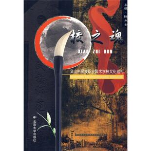 正版书籍 校之魂——文山州民族职业技术学校文化巡礼陆永金云南大学出版社社会科学 人天书店畅销书排行榜