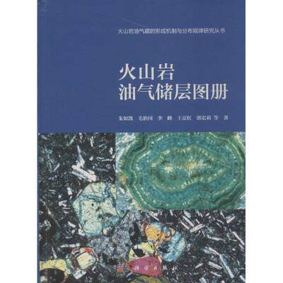 正版书籍 火山岩油朱如凯等科学出版社自然科学火山岩岩性油气藏储集层图集本书可供从事油气地质勘探开发研人天书店畅销书排行榜