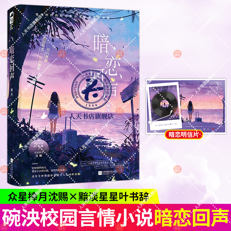 暗恋回声 碗泱著 暗恋甜文治愈言情小说实体书籍 众星捧月 沈赐 × 黯淡星星 叶书辞