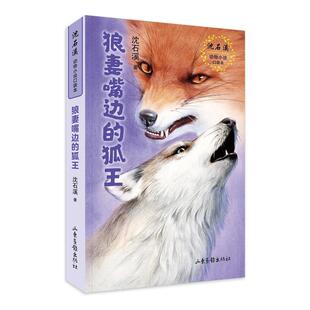 正版书籍 狼妻嘴边的狐王沈石溪山东画报出版社儿童读物儿童小说短篇小说小说集中国当代小学生人天书店畅销书排行榜