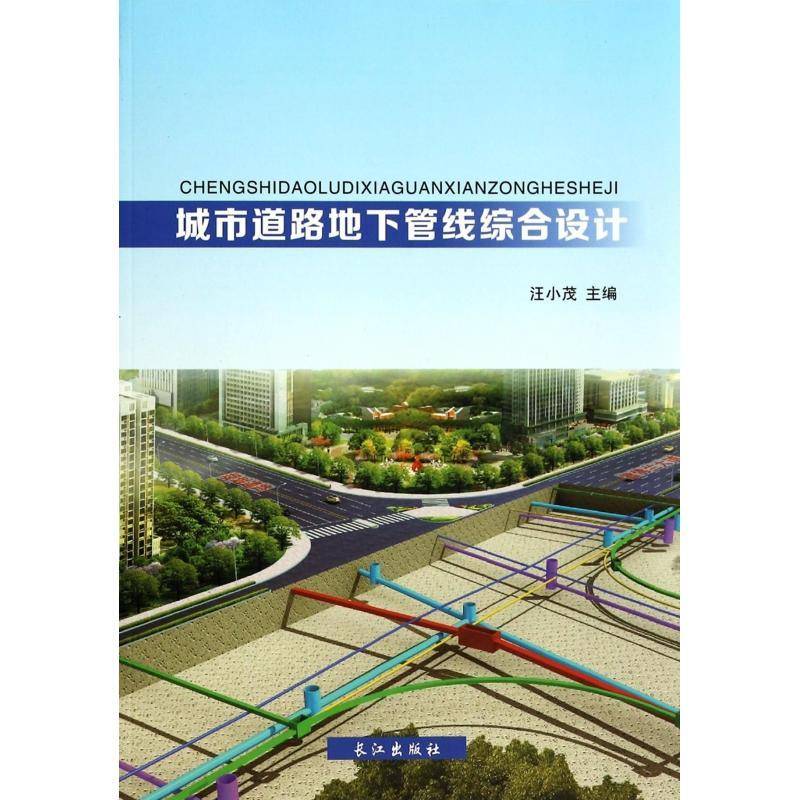 正版书籍 城市道路地下管线综合设计汪小茂长江出版社交通运输城市道路地下管道管线综合设计 人天书店畅销书排行榜