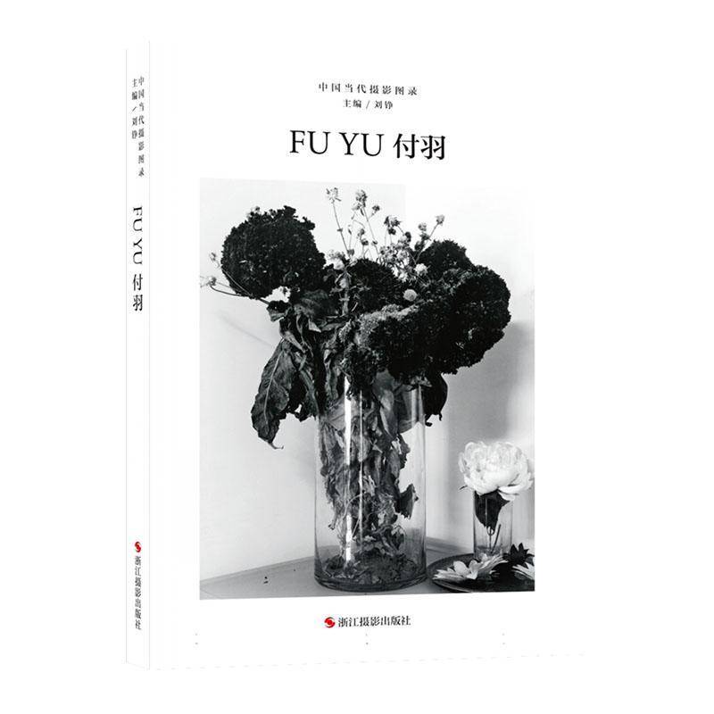 正版书籍 中国当代摄影图录:十辑:付羽刘铮浙江摄影出版社艺术  人天书店畅销书排行榜