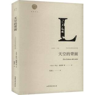 正版书籍 天空的背面:当代拉美名家诗选伊达·维塔莱等山东文艺出版社文学  人天书店畅销书排行榜