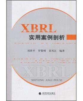正版书籍 XBRL实用案例剖析刘世平经济科学出版社经济可扩充语言应用资本市场中国语言 人天书店畅销书排行榜