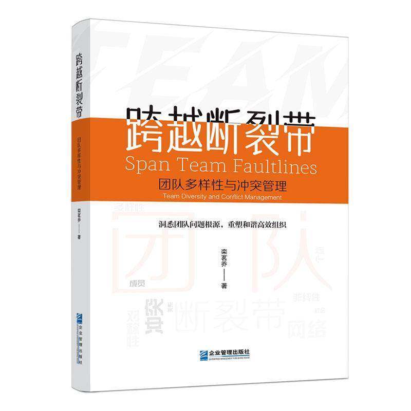 正版书籍 跨越断裂带:团队多样与冲突管理栾茗乔企业管理出版社管理  人天书店畅销书排行榜