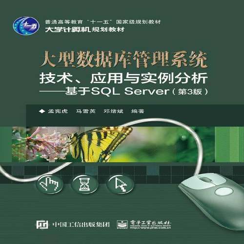 正版书籍 大型数据库管理系统技术、应用孟宪虎电子工业出版社计算机与网络关系数据库数据库管理系统高等教 人天书店畅销书排行榜