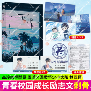 正版书籍 刺骨酸菜坛子 高口碑经典校园青春感人励志小说非漫画实体书籍 力潮文创官方正版