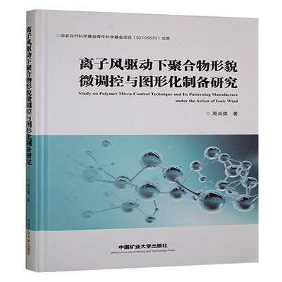 正版书籍 离子风驱动下聚合物形貌微调控与图形化制备研究周尚儒中国矿业大学出版社工业技术  人天书店畅销书排行榜