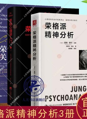 全套3册 24Keys荣格心理学入门+ 荣格派精神分析+荣格心理学关键词(精) 莫瑞斯坦博士精神分析入门心理咨询 心理学术语 理论与研