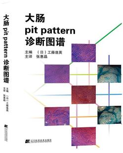 大肠pit 医药卫生书籍 pattern诊断图谱工藤进英