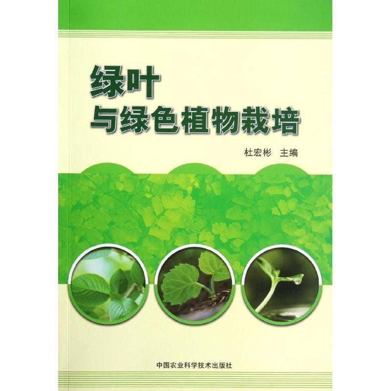 正版书籍 绿叶与绿色植物栽培杜宏彬中国农业科学技术出版社农业、林业植物栽培技术文集 人天书店畅销书排行榜