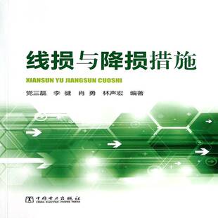正版书籍 线损与降损措施党三磊中国电力出版社工业技术线损计算本书可作为全国各网省电力公司地人天书店畅销书排行榜