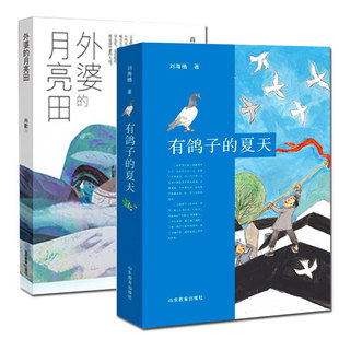 有鸽子的夏天+外婆的月亮田 儿童文学小学生课外读物 7-12岁青少年成长励志故事书  山东教育出版社 se