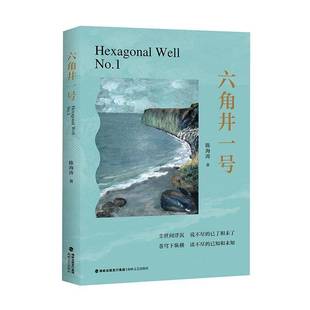 正版书籍 六角井一号陈海涛海峡文艺出版社图书 文学爱好者人天书店畅销书排行榜