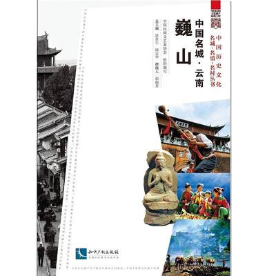 正版书籍 中国名城：云南巍山中国民间文艺家协会组织写知识产权出版社历史文化名城概况中国 人天书店畅销书排行榜