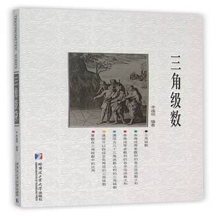 正版书籍 三角级数李遥观哈尔滨工业大学出版社自然科学三角级数 人天书店畅销书排行榜