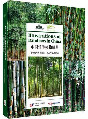 Illustrations of bamboos in China __   农业、林业书籍