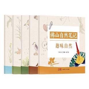 正版书籍 山自然笔记:趣味自然工作室绘广东海燕电子音像出版社自然科学 人天书店畅销书排行榜
