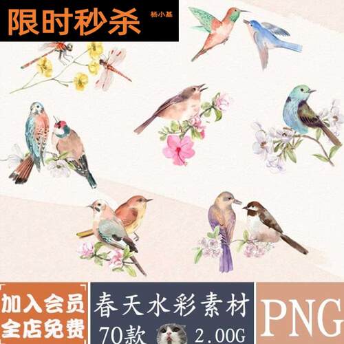 春天花鸟树叶水彩底纹剪贴画海报装饰PNG透明免抠素材PS设计元素