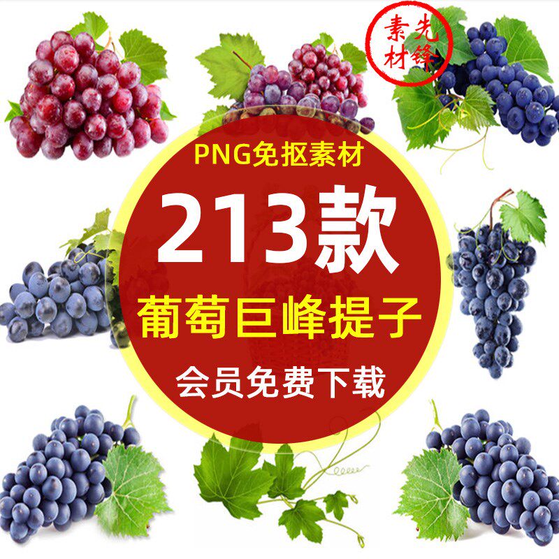 卡通葡萄绿红黑葡萄藤png透明背景图片 巨峰提子超市促销插图素材