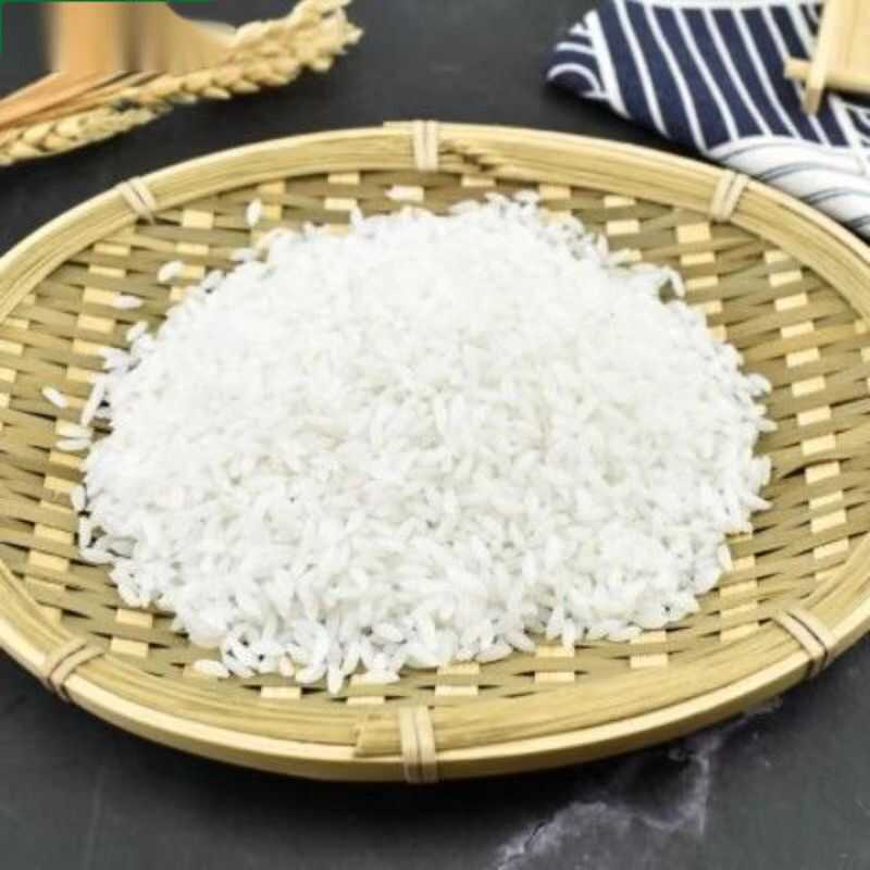 大米模型假米粒摆设道具仿真