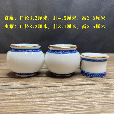 金口痰盂宝石蓝颠颏黄豆鸟石燕杂鸟鸟食杯鸟食罐鸟笼配件
