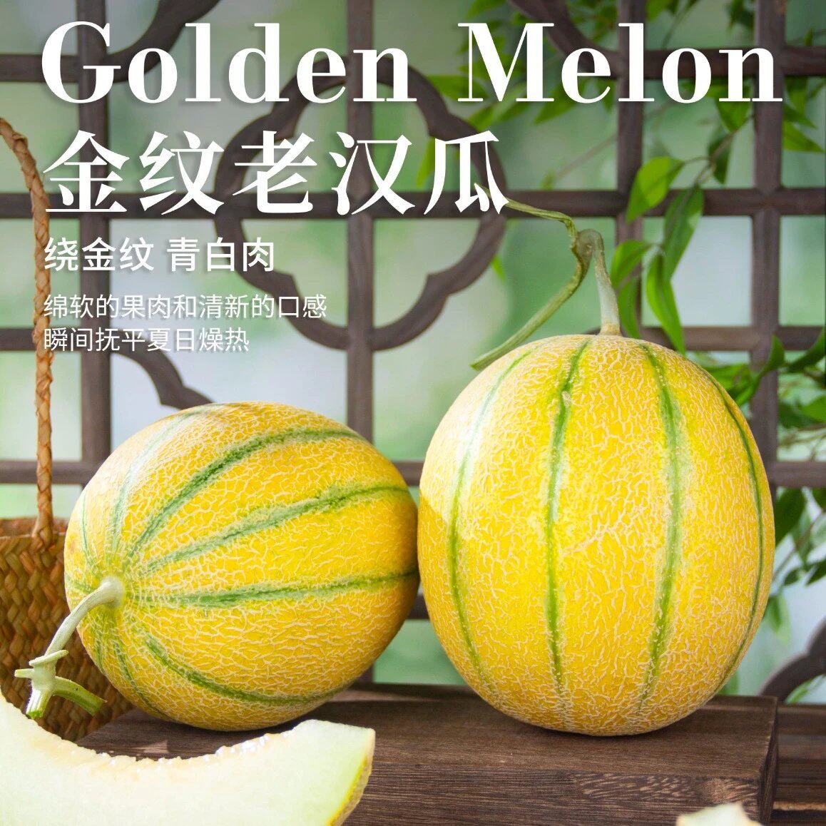 新疆哈密瓜正宗金纹老汉瓜吐鲁番香甜绵软冰淇淋甜瓜当季新鲜水果