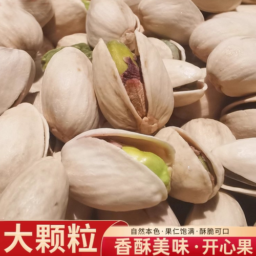 2026年新货新鲜大颗粒原色开心果