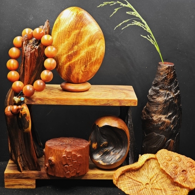 松明子琥珀沉化木根艺术侘寂摆件手工雕刻文玩展示收纳架茶室造景