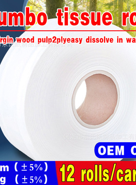 Jumbo tissue roll Virgin wood pulp2plyeasy dissolve in waler