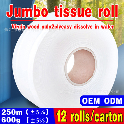 Jumbo tissue roll Virgin wood pulp2plyeasy dissolve in waler