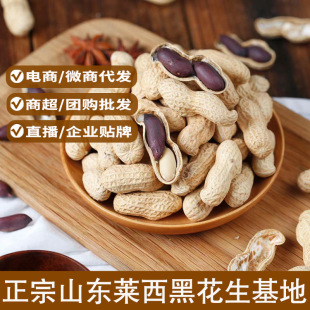 黑玉珍正宗山东黑花生 富硒带壳熟原味蒜香黑皮花生10斤散装批发