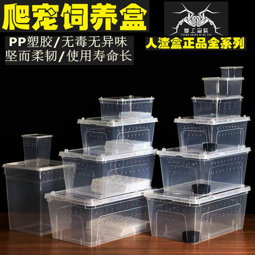爬宠饲养箱角蛙盒昆虫盒人渣盒