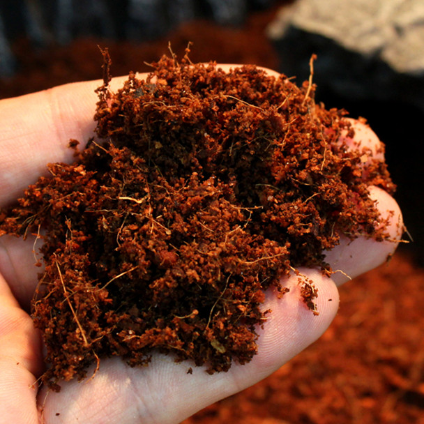 蜘蛛椰土蜗牛椰土寄居蟹垫材