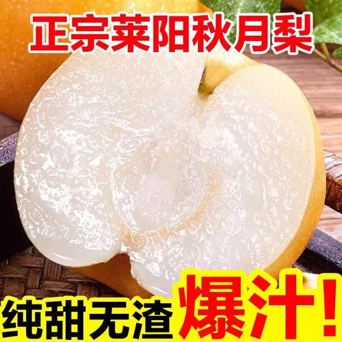 【下单立减50】正宗秋月梨新鲜水果脆甜多汁精选品质当季现摘梨子