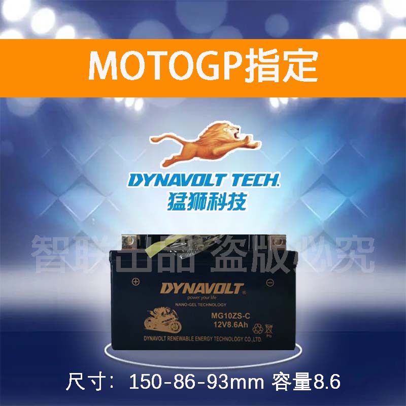 隆鑫无极电池300R 250RR AC GY 500R 650DS 525R 150GT摩托车电瓶