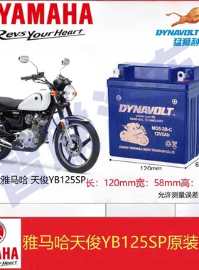 适配雅马哈天剑YBR125 天戟YBE YBS JYM125天梭YB125SP摩托车电瓶