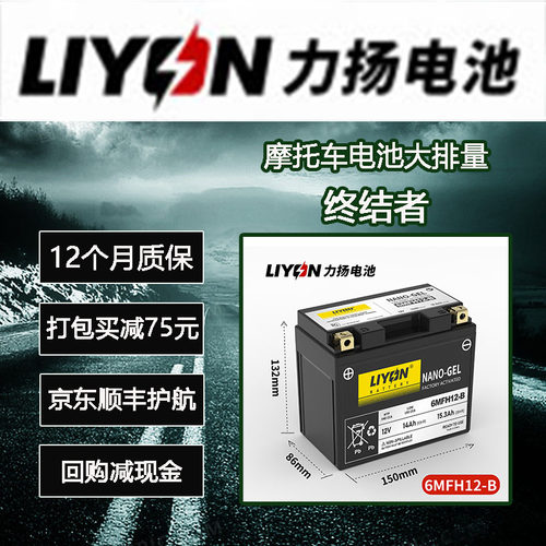 力扬12V通用蓄电池踏板电瓶