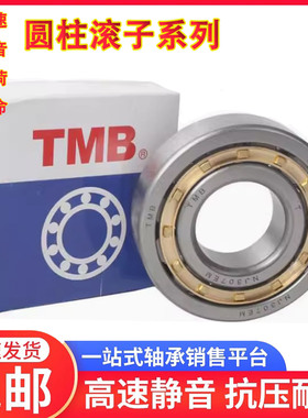 TMB天马圆柱滚子轴承 NUNJ304305 306 307 308 309 310 311 312EM