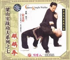 正版武术教学 梁山实战功夫 麒麟拳 vcd 讲解:宋义祥